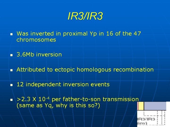 IR 3/IR 3 n Was inverted in proximal Yp in 16 of the 47