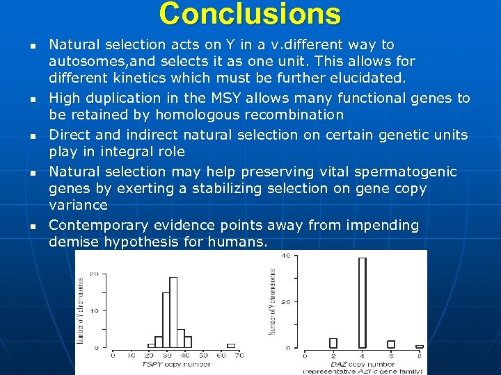 Conclusions n n n Natural selection acts on Y in a v. different way