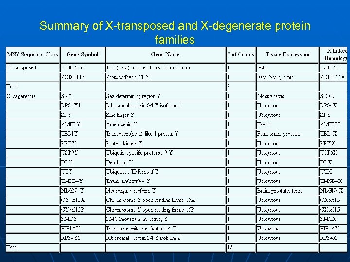 Summary of X-transposed and X-degenerate protein families 