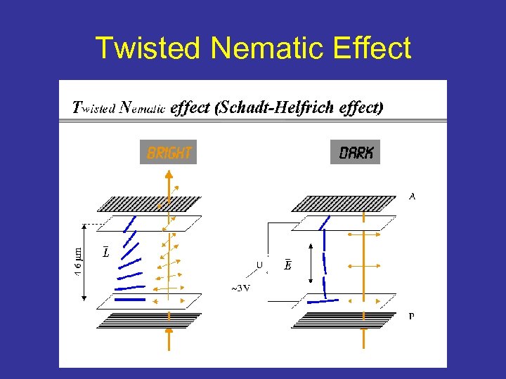 Twisted Nematic Effect 