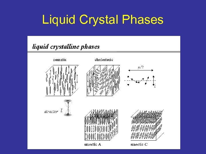 Liquid Crystal Phases 