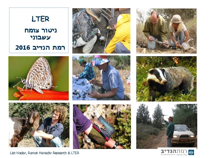 LTER ניטור צומח עשבוני To provide a scientific basis for the NP management 2016