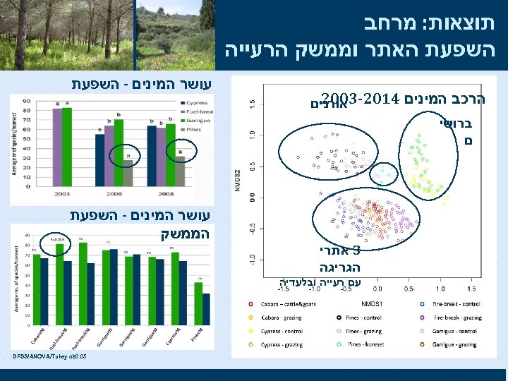  תוצאות: מרחב השפעת האתר וממשק הרעייה הרכב המינים 4102 -3002 אורנים ברושי ם