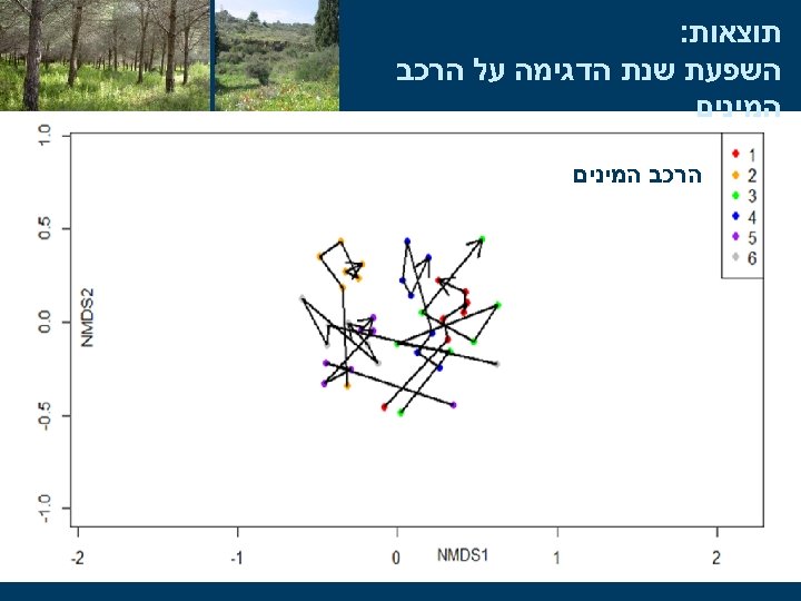  תוצאות: השפעת שנת הדגימה על הרכב המינים הרכב המינים 