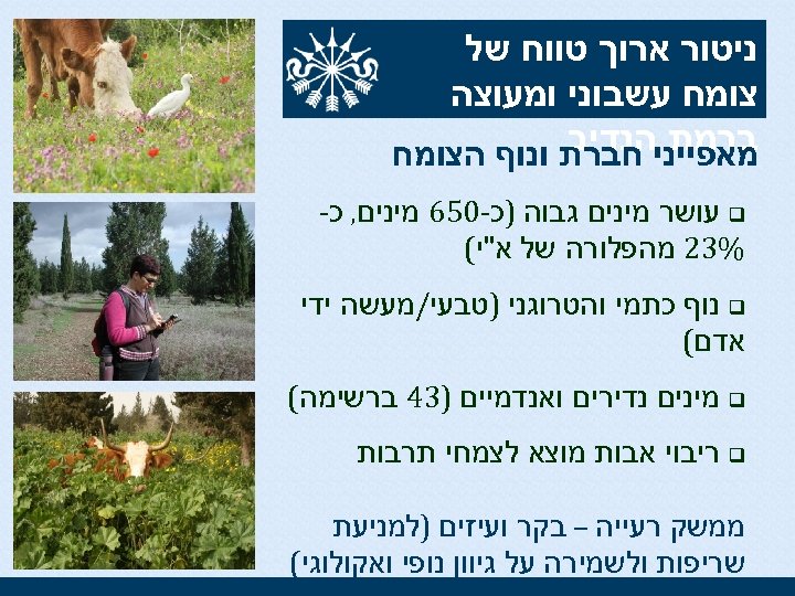  ניטור ארוך טווח של צומח עשבוני ומעוצה ברמת הנדיב מאפייני חברת ונוף הצומח