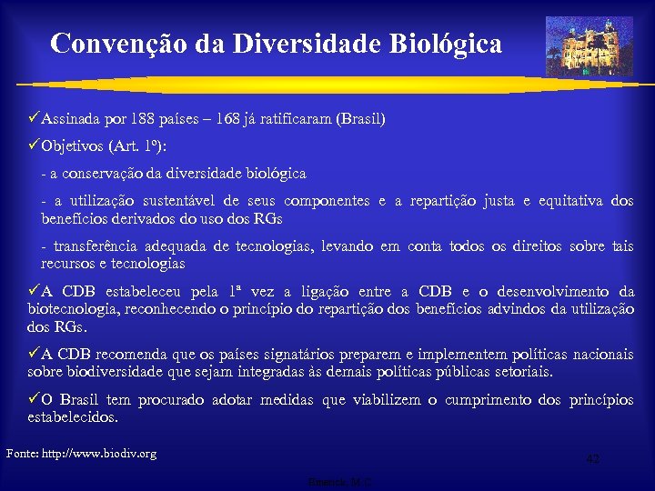 Convenção da Diversidade Biológica üAssinada por 188 países – 168 já ratificaram (Brasil) üObjetivos