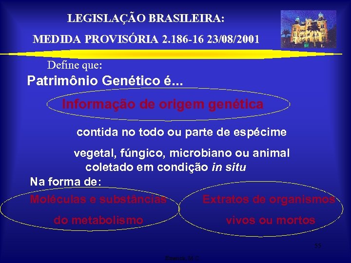 LEGISLAÇÃO BRASILEIRA: MEDIDA PROVISÓRIA 2. 186 -16 23/08/2001 Define que: Patrimônio Genético é. .