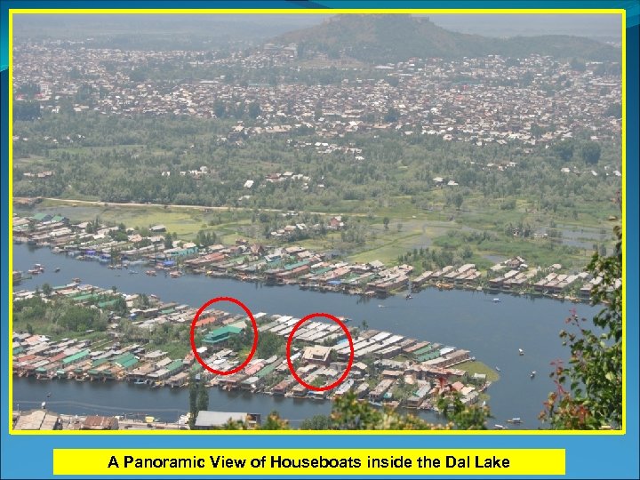 A Panoramic View of Houseboats inside the Dal Lake 