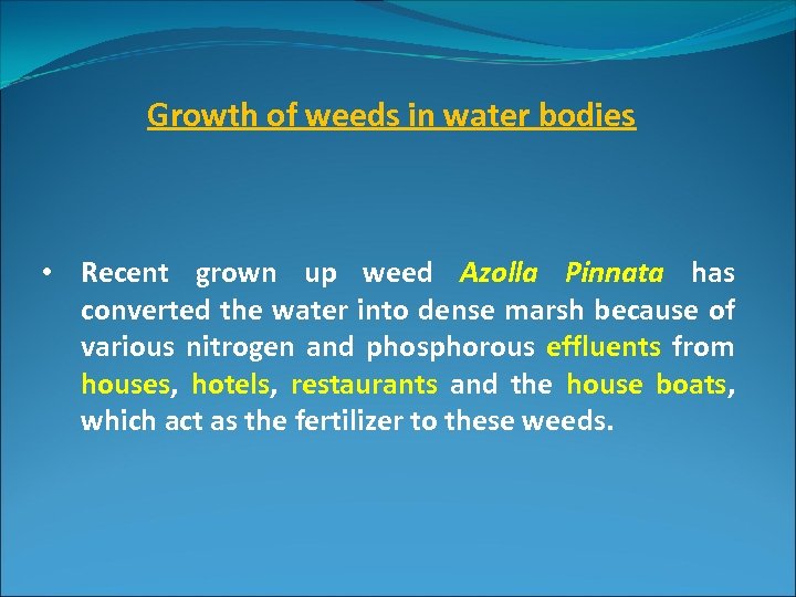 Growth of weeds in water bodies • Recent grown up weed Azolla Pinnata has