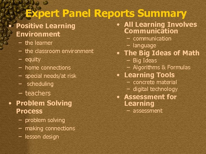 Expert Panel Reports Summary • Positive Learning Environment – – – the learner the