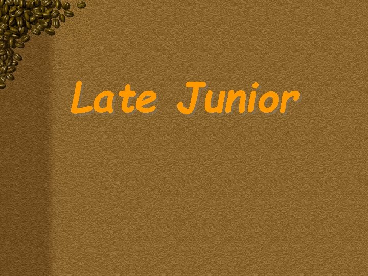 Late Junior 
