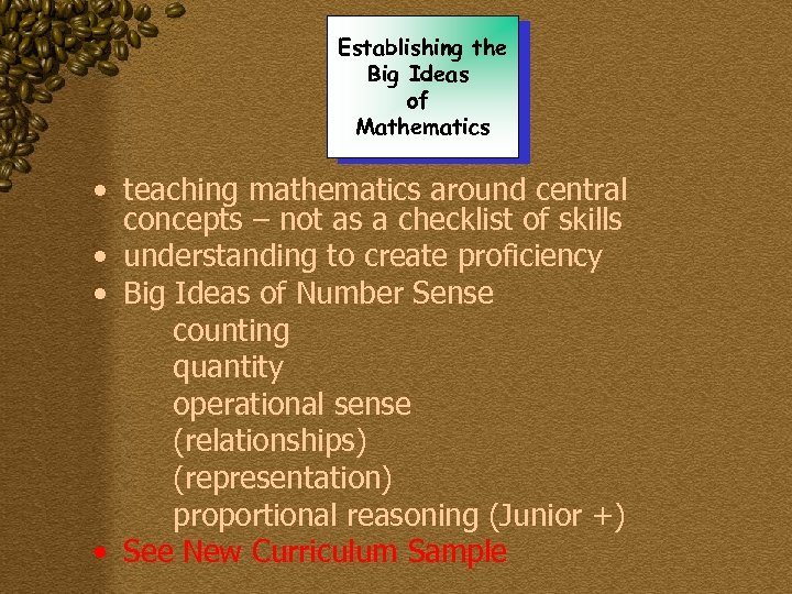 Establishing the Big Ideas of Mathematics • teaching mathematics around central concepts – not