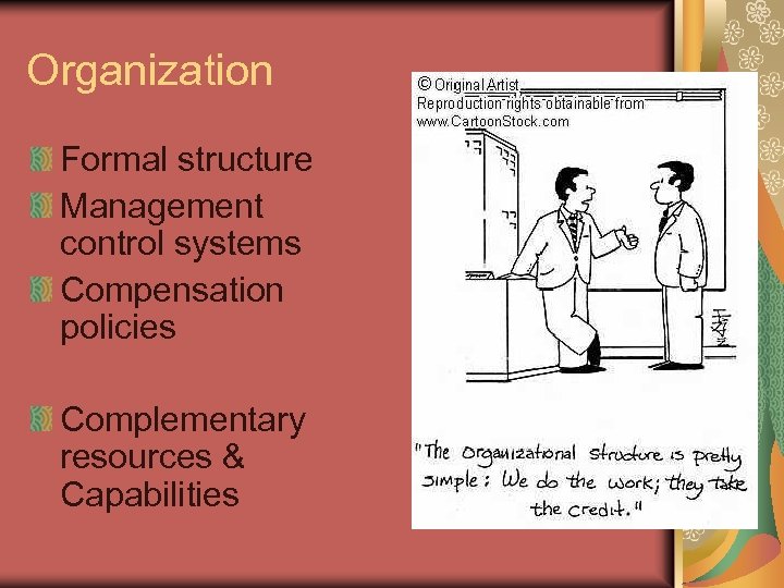 Organization Formal structure Management control systems Compensation policies Complementary resources & Capabilities 