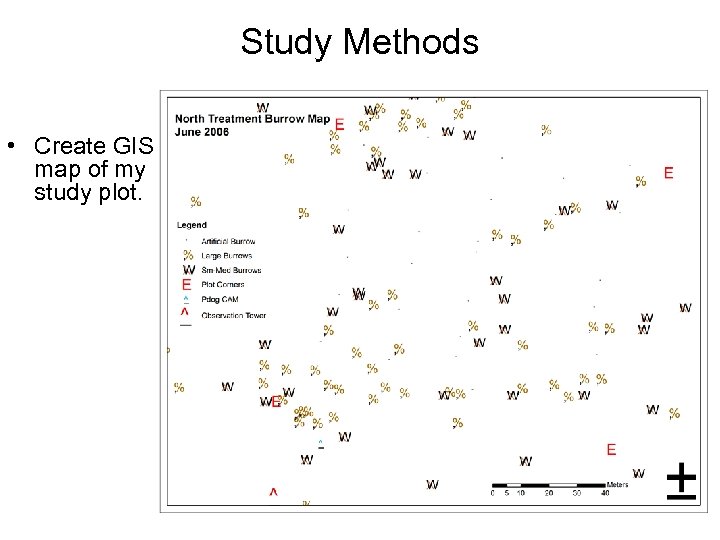 Study Methods • Create GIS map of my study plot. 