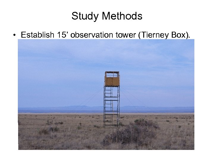 Study Methods • Establish 15’ observation tower (Tierney Box). 