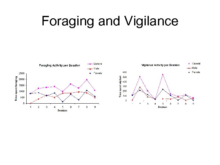 Foraging and Vigilance 