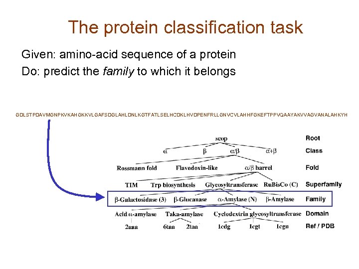 The protein classification task Given: amino-acid sequence of a protein Do: predict the family