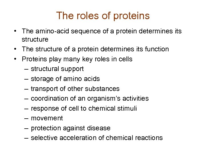 The roles of proteins • The amino-acid sequence of a protein determines its structure