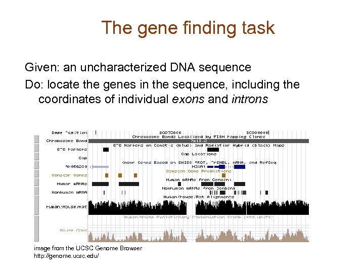 The gene finding task Given: an uncharacterized DNA sequence Do: locate the genes in