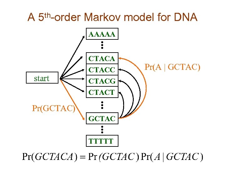 A 5 th-order Markov model for DNA AAAAA start CTACA CTACC CTACG CTACT Pr(GCTAC)