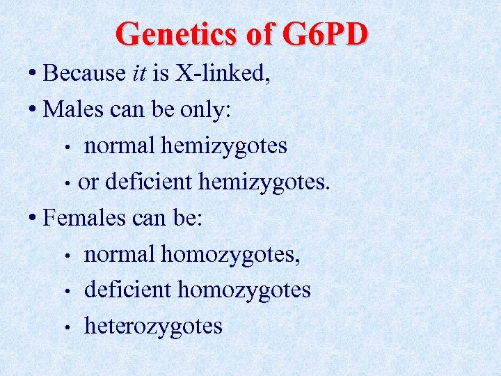 Genetics of G 6 PD • Because it is X-linked, • Males can be