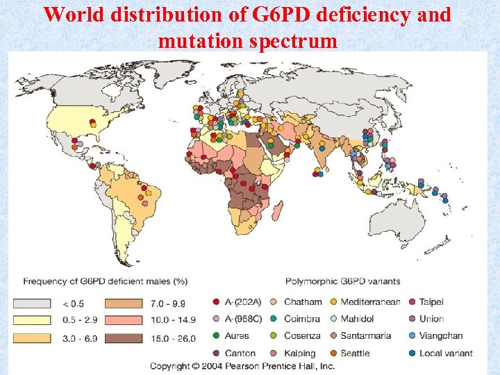 World distribution of G 6 PD deficiency and mutation spectrum 