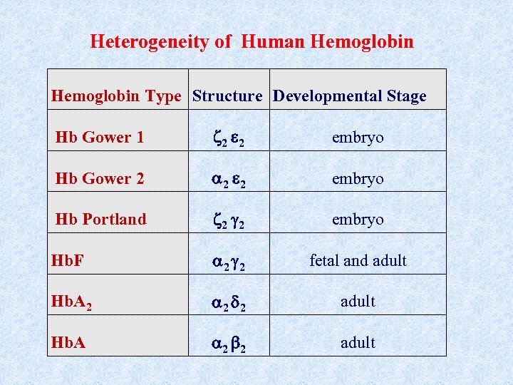 Heterogeneity of Human Hemoglobin Type Structure Developmental Stage Hb Gower 1 2 2 embryo