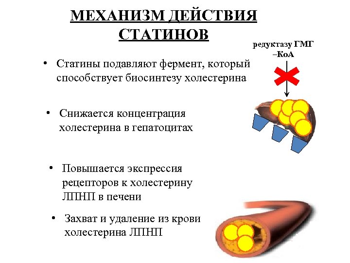 Статины отзывы