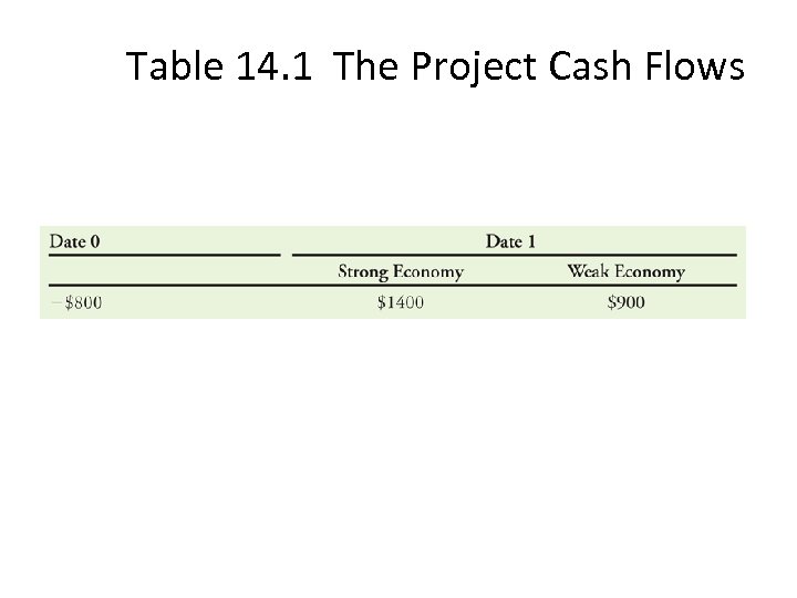 Table 14. 1 The Project Cash Flows 