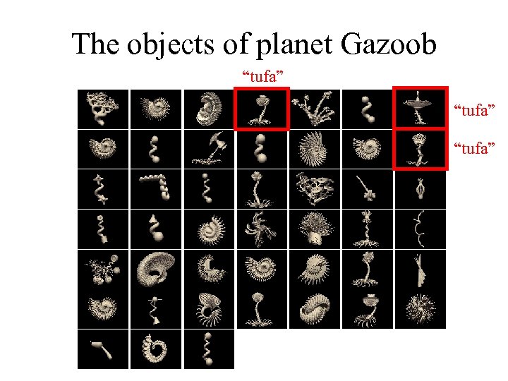 The objects of planet Gazoob “tufa” 