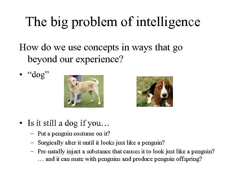 The big problem of intelligence How do we use concepts in ways that go