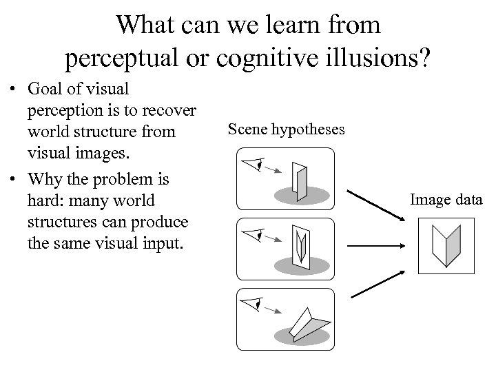 What can we learn from perceptual or cognitive illusions? • Goal of visual perception