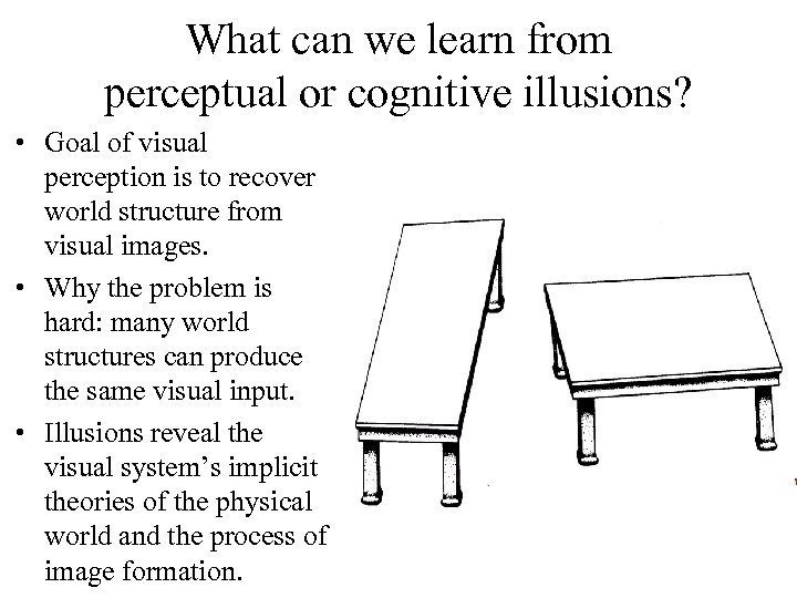 What can we learn from perceptual or cognitive illusions? • Goal of visual perception