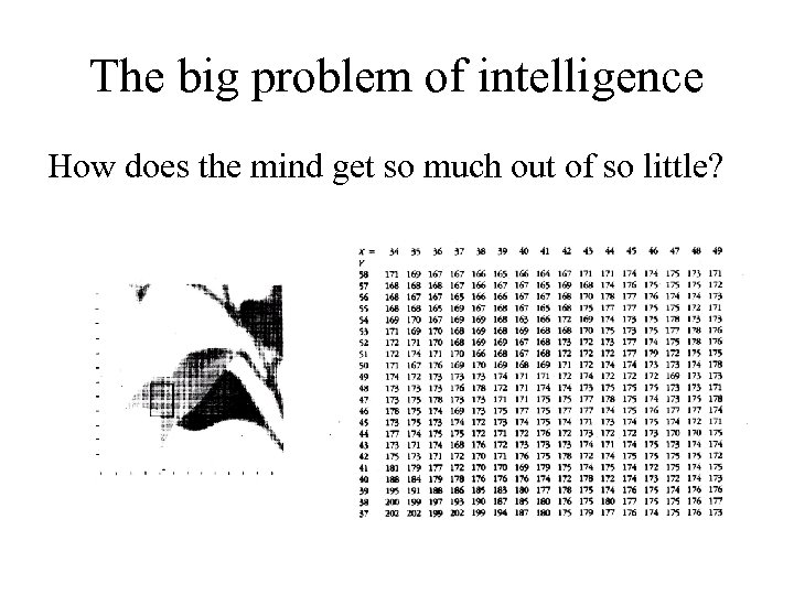 The big problem of intelligence How does the mind get so much out of