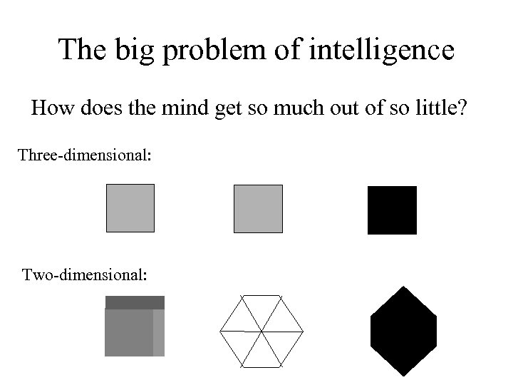 The big problem of intelligence How does the mind get so much out of