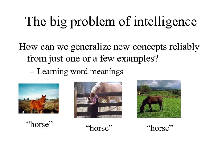 The big problem of intelligence How can we generalize new concepts reliably from just