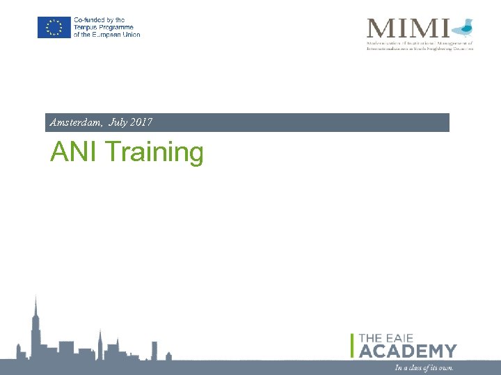 Amsterdam, July 2017 ANI Training 