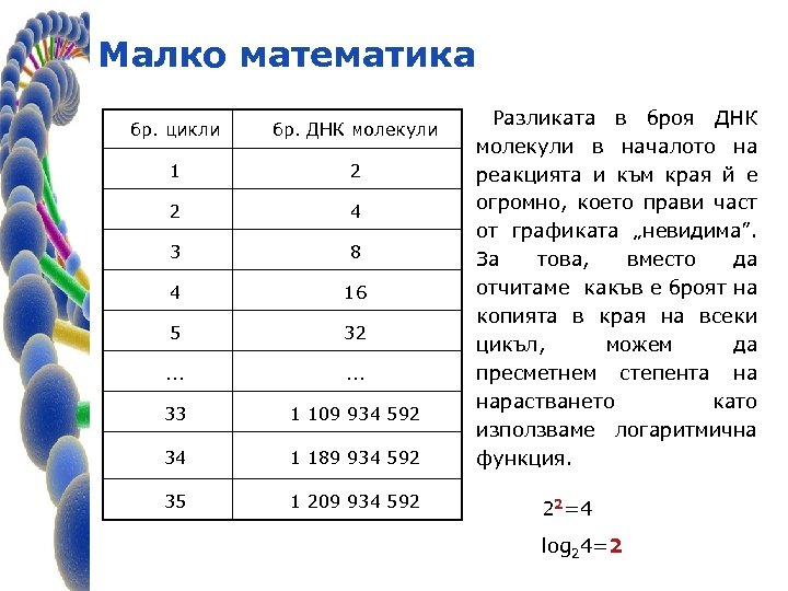 Малко математика бр. цикли бр. ДНК молекули 1 2 2 4 3 8 4