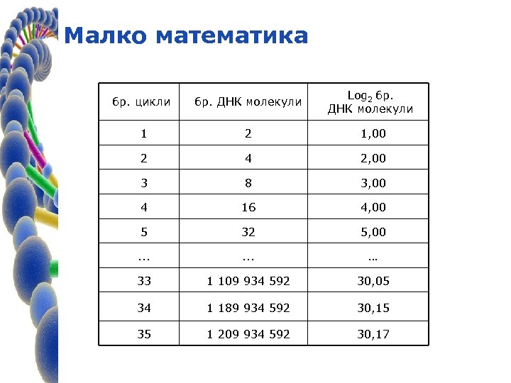 Малко математика бр. цикли бр. ДНК молекули Log 2 бр. ДНК молекули 1 2
