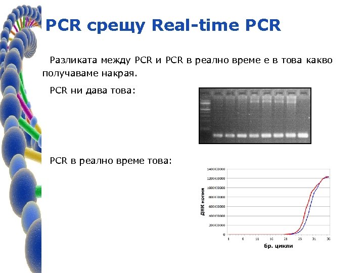 PCR срещу Real-time PCR Разликата между PCR и PCR в реално време е в