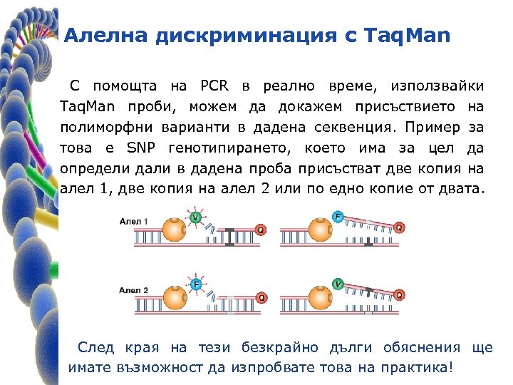 Алелна дискриминация с Taq. Man С помощта на PCR в реално време, използвайки Taq.