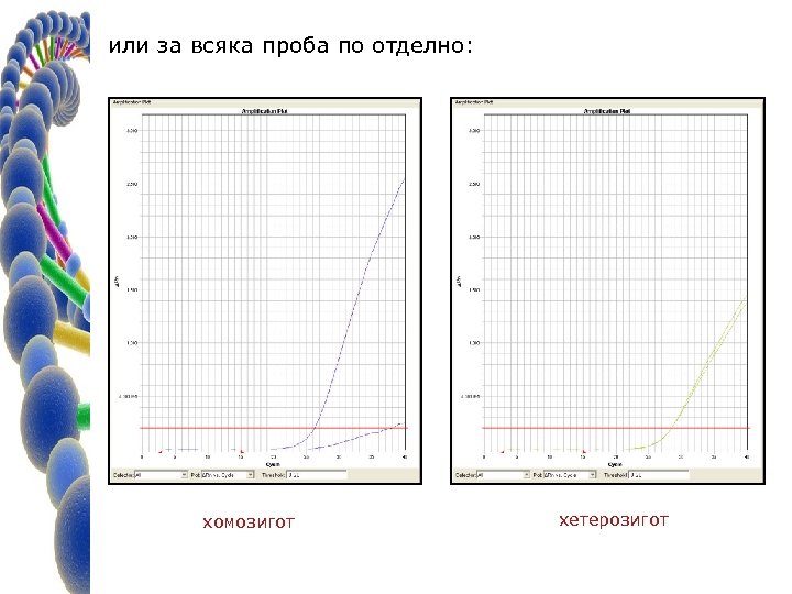 или за всяка проба по отделно: хомозигот хетерозигот 