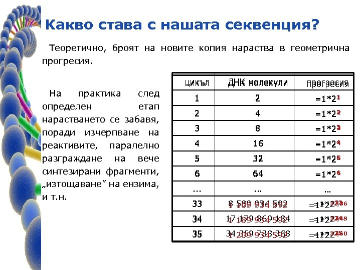 Какво става с нашата секвенция? Теоретично, броят на новите копия нараства в геометрична прогресия.