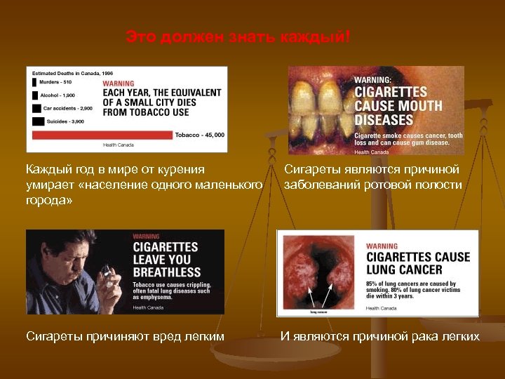 Это должен знать каждый! Каждый год в мире от курения умирает «население одного маленького