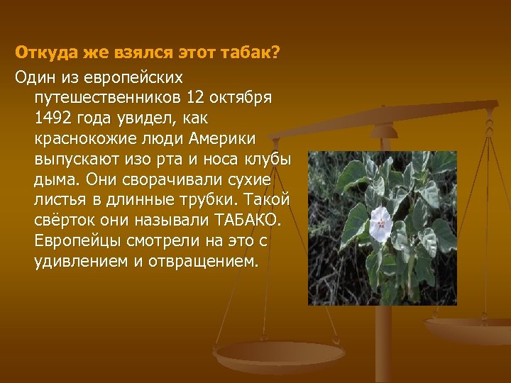 Откуда же взялся этот табак? Один из европейских путешественников 12 октября 1492 года увидел,