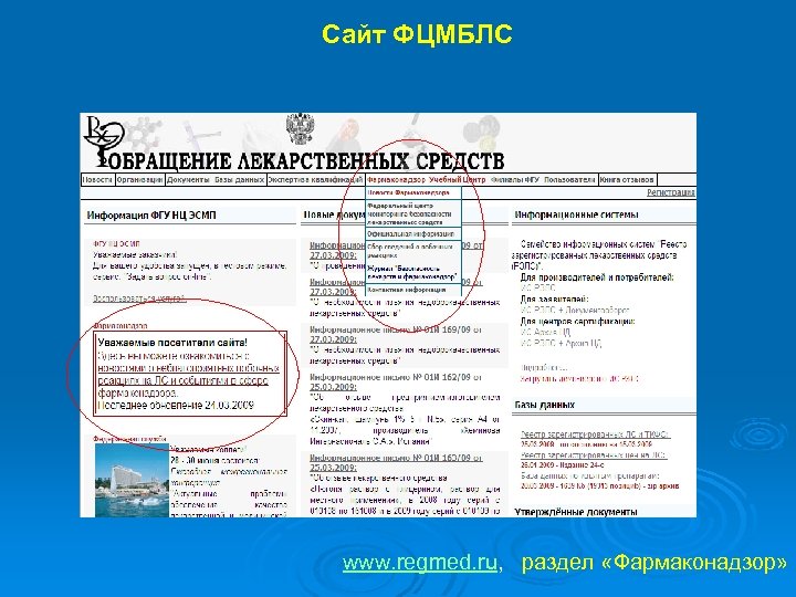 Cайт ФЦМБЛС www. regmed. ru, раздел «Фармаконадзор» 