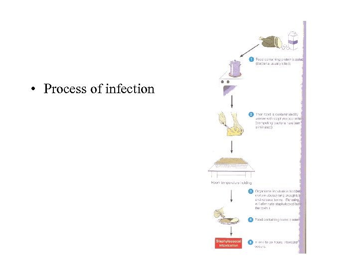  • Process of infection 