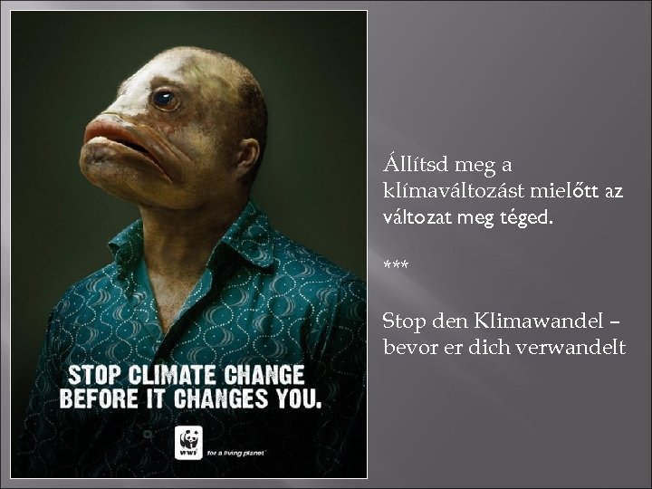 Állítsd meg a klímaváltozást mielőtt az változat meg téged. *** Stop den Klimawandel –