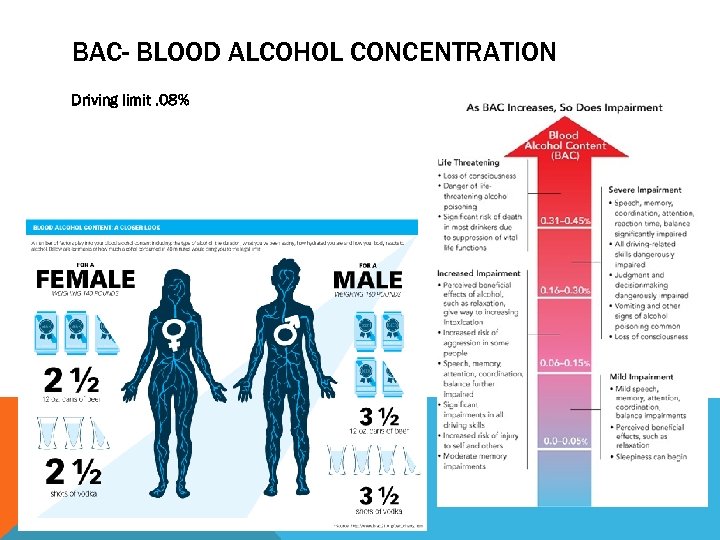 BAC- BLOOD ALCOHOL CONCENTRATION Driving limit. 08% 