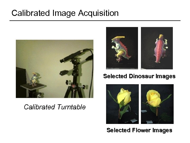 Calibrated Image Acquisition Selected Dinosaur Images Calibrated Turntable 360° rotation (21 images) Selected Flower